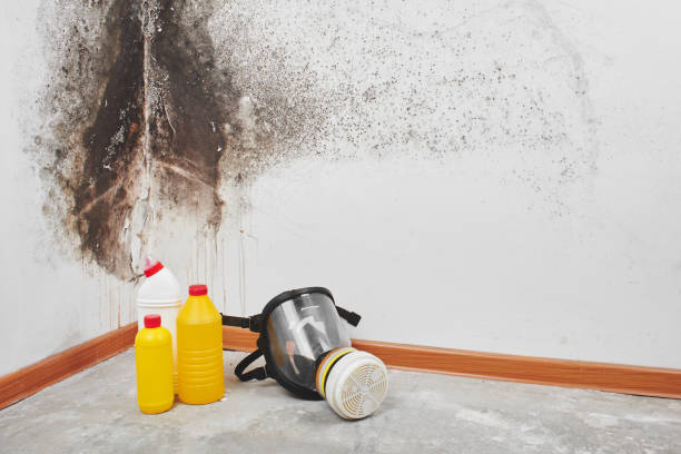 Best Mold Removal and Inspection  in Milan, MO